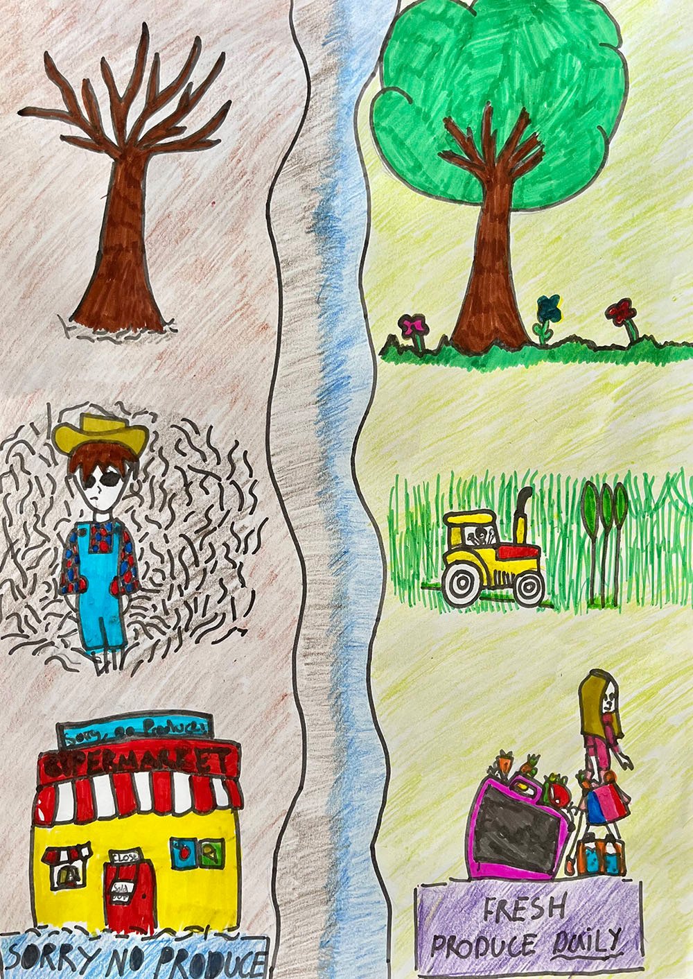 2nd - Years 3 - 4 - Barwon Water - Emily - Bellaire Primary School